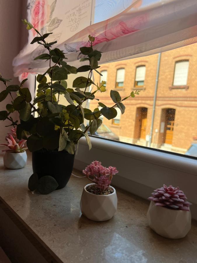 Erholung Im Herzen Von Apartment *
